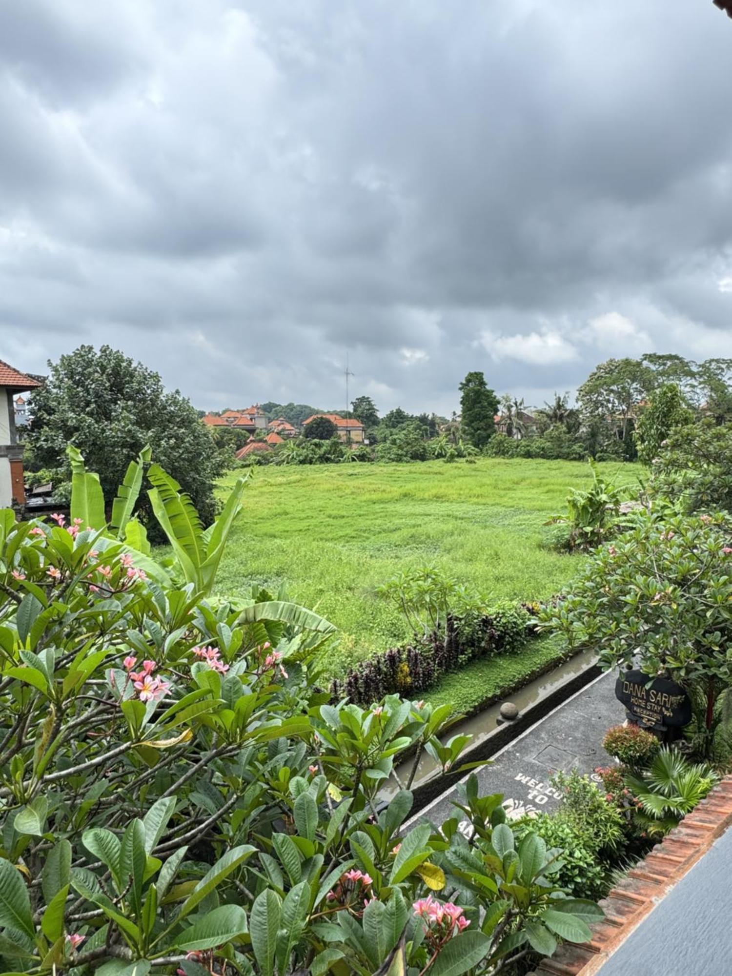 Danasari Homestay 우붓 외부 사진