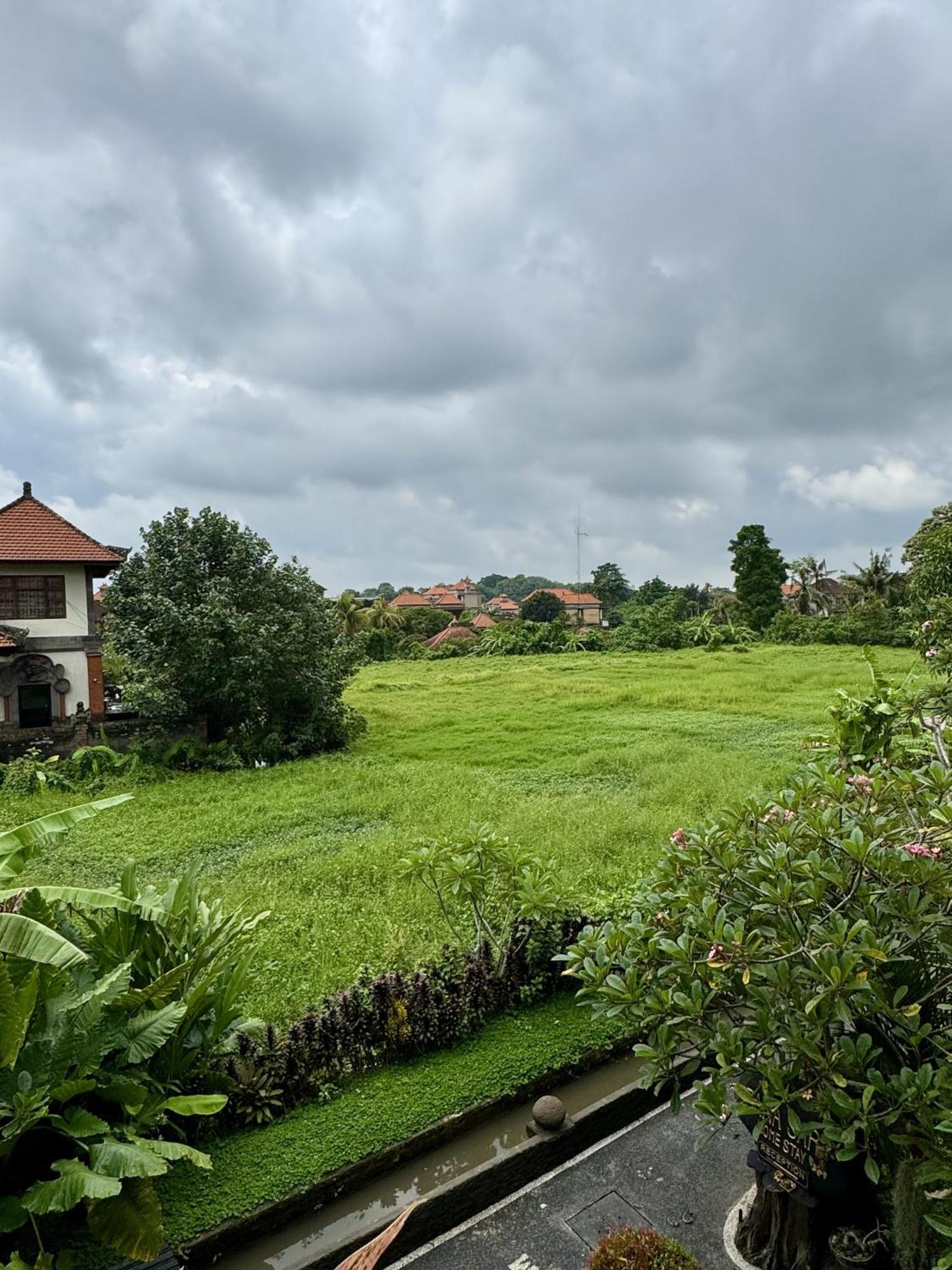Danasari Homestay 우붓 외부 사진
