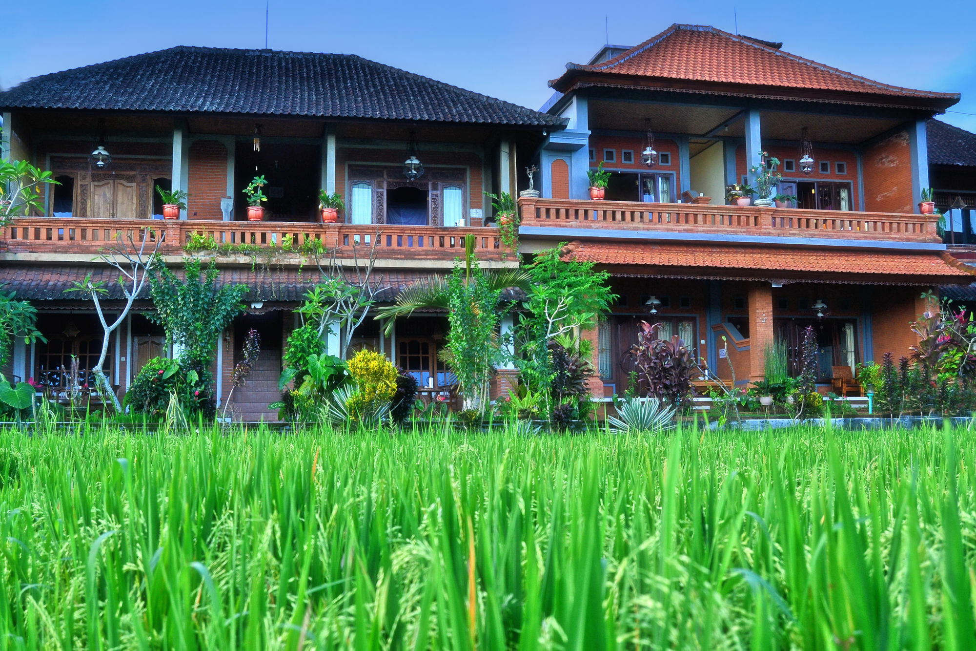 Danasari Homestay 우붓 외부 사진