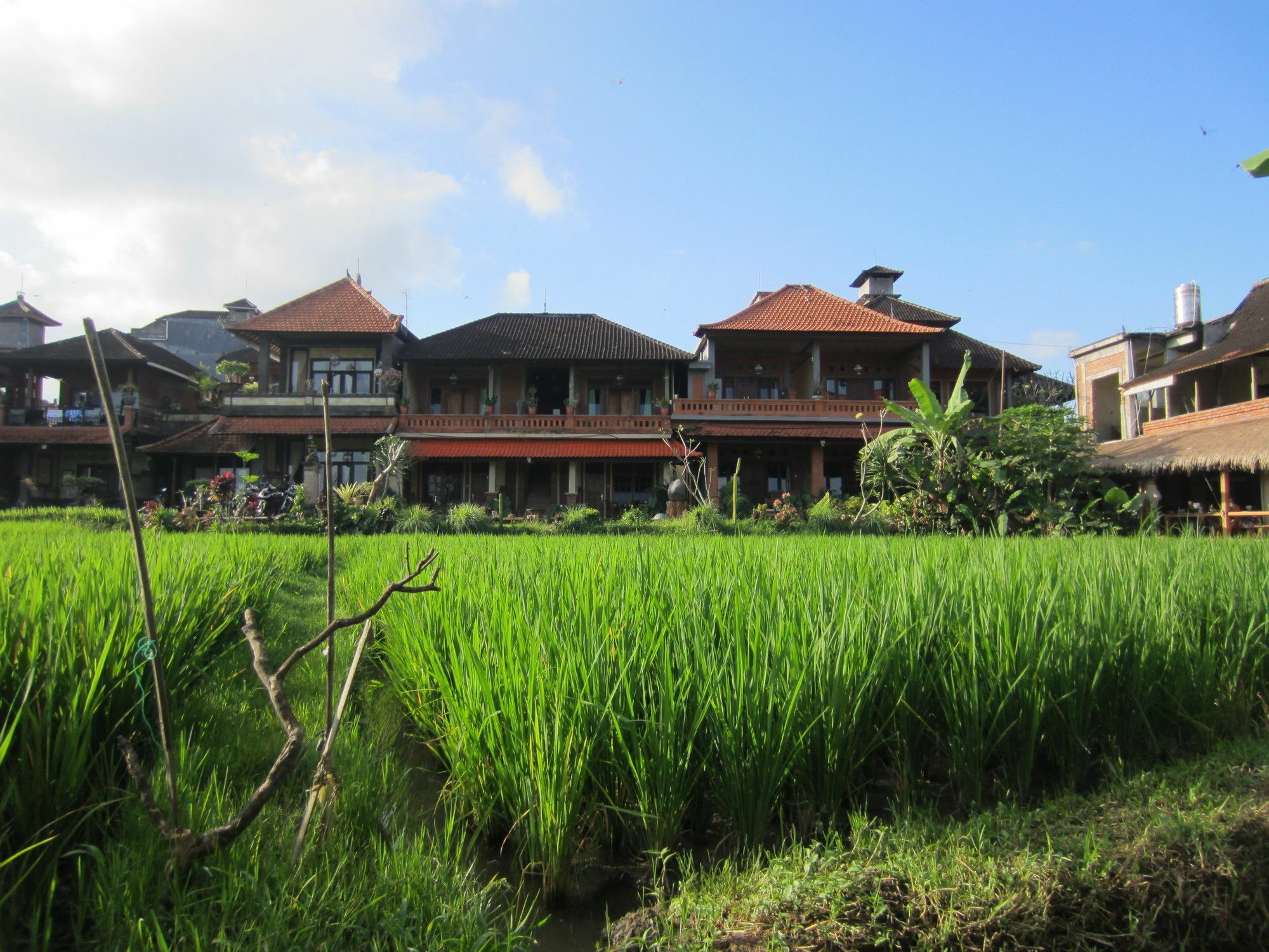 Danasari Homestay 우붓 외부 사진